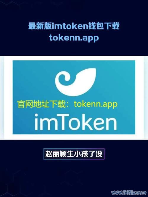 钱包模式是做什么的_钱包有风险吗_如何通过tokenim钱包官网下载建立严密的资金安全体系，抵御市场波动带来的风险？